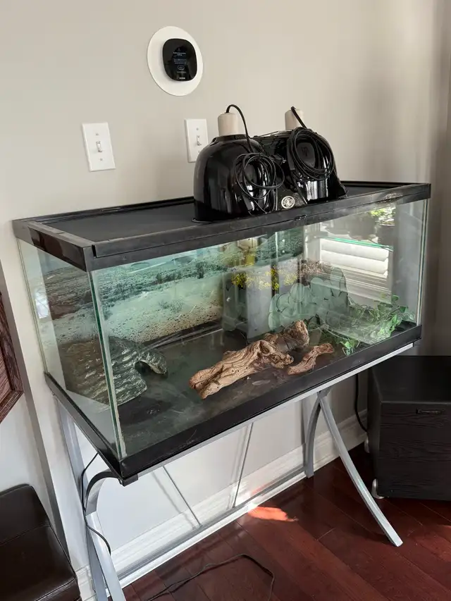 Reptile Tank with Glass Top Stand