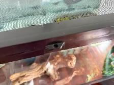 Reptile Tank with Glass Top Stand - Photo 7