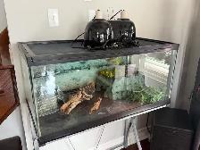 Reptile Tank with Glass Top Stand - Photo 9