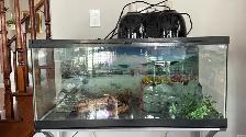 Reptile Tank with Glass Top Stand - Photo 10