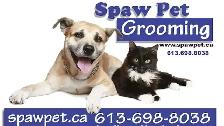 CERTIFIED DOG AND CAT GROOMER