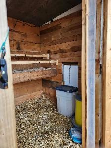 Chicken Coop - Photo 2