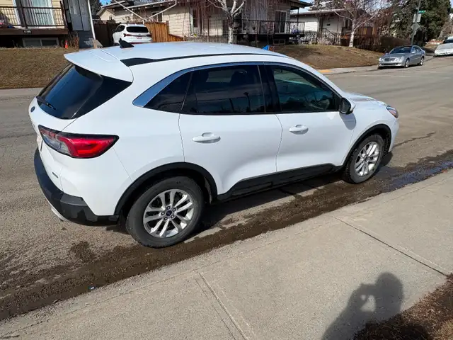 2020 Ford Escape SE - Photo 4