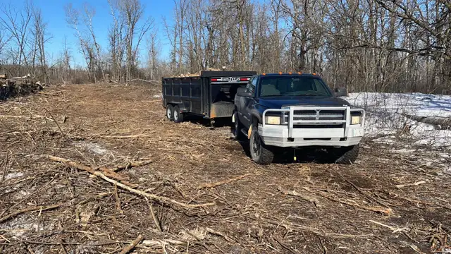 Oak Firewood - Photo 2