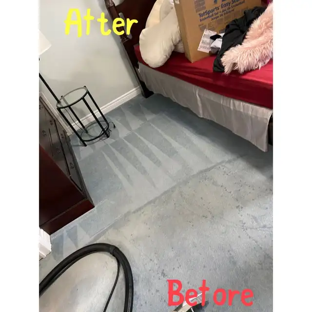 The Perfect House Carpet_Rug And Sofa_Cleaning - Photo 3