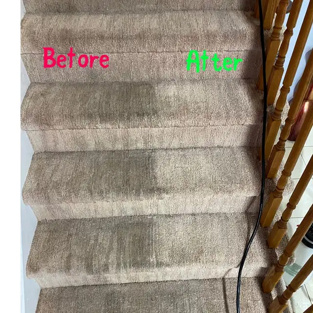 The Perfect House Carpet_Rug And Sofa_Cleaning - Photo 4