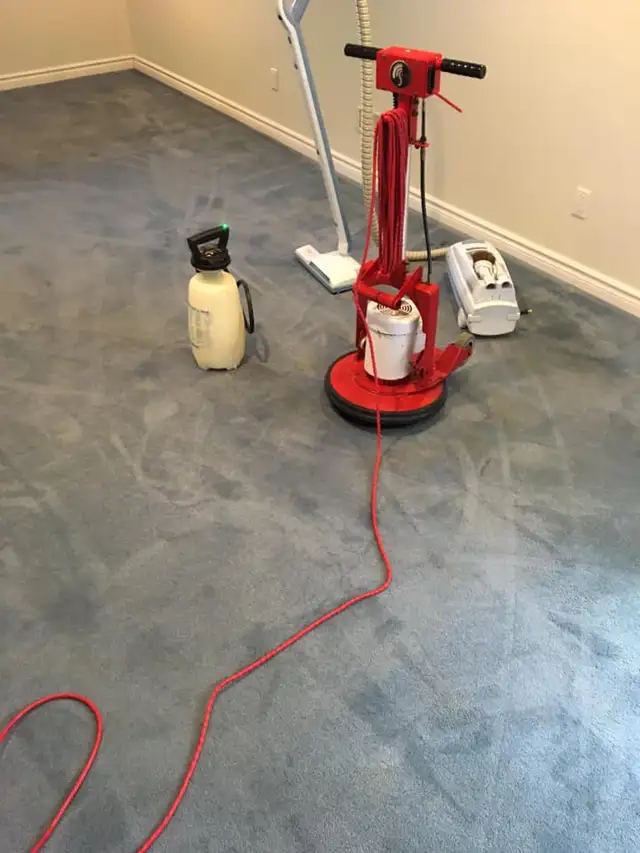 The Perfect House Carpet_Rug And Sofa_Cleaning - Photo 5