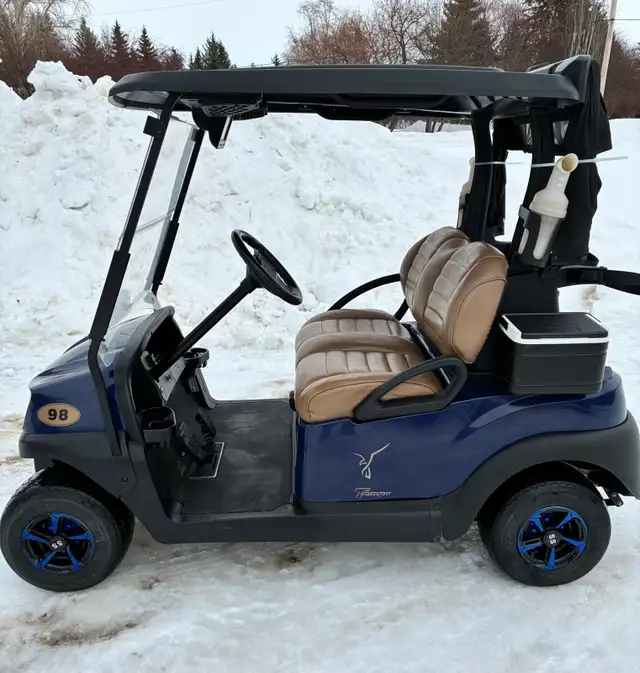 2019 Electric Club Car for sale!  HERE TODAY GONE TOMORROW! - Photo 2