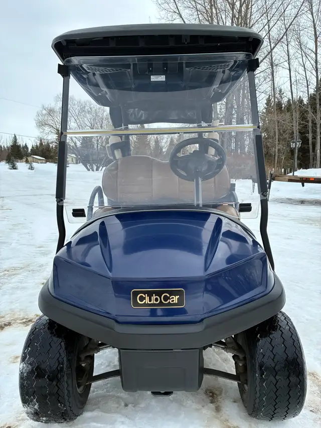 2019 Electric Club Car for sale!  HERE TODAY GONE TOMORROW! - Photo 4