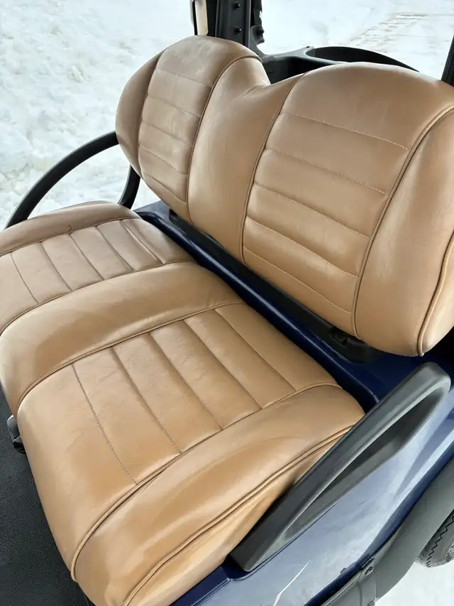 2019 Electric Club Car for sale!  HERE TODAY GONE TOMORROW! - Photo 9