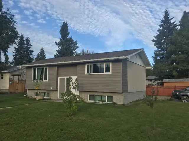 1 Large Bedroom, 1 Bathroom Basement Suite