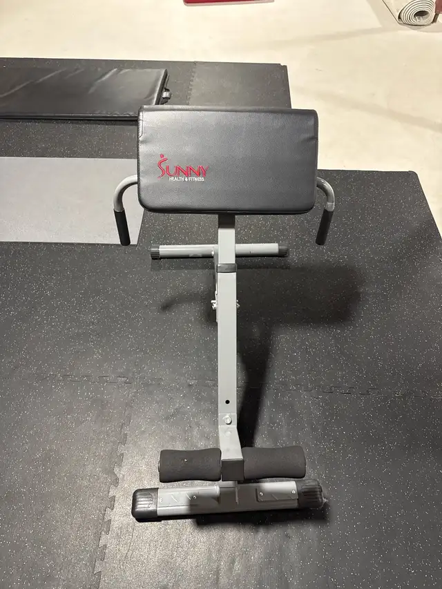 back extension workout bench