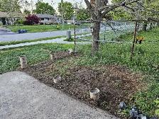 Affordable Painter/ Handyman - Photo 9