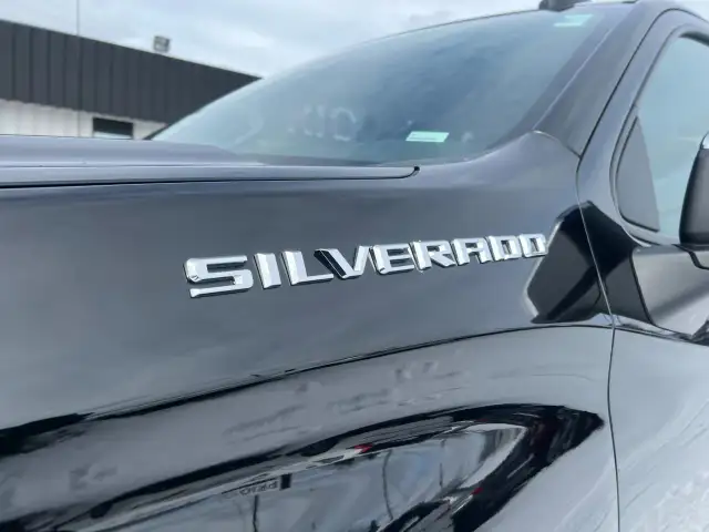 2025 Chevrolet Silverado 1500 - Photo 2