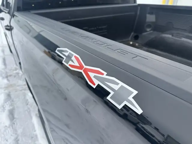 2025 Chevrolet Silverado 1500 - Photo 12