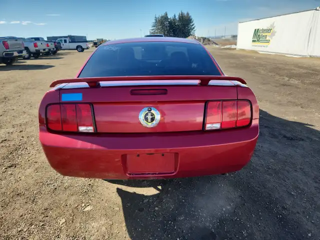 2005 Ford Mustang - Photo 6