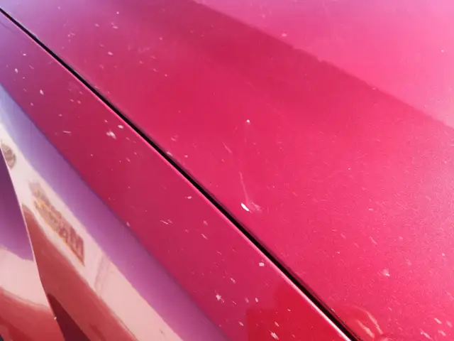 2005 Ford Mustang - Photo 28