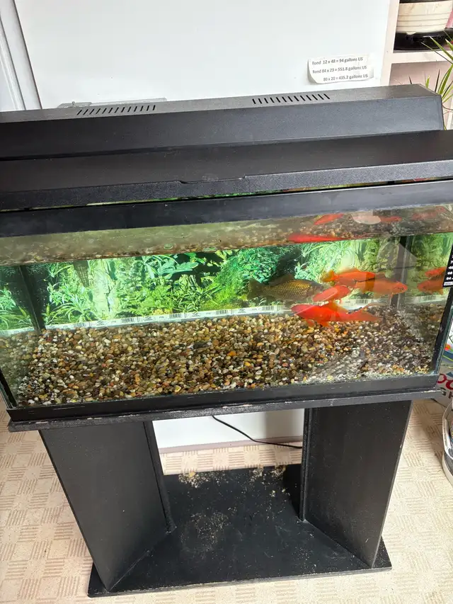 Aquarium 23 gallon avec meuble