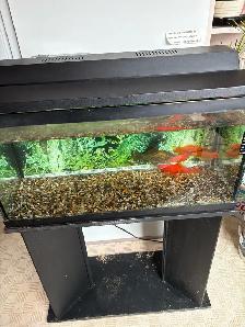 Aquarium 23 gallon avec meuble