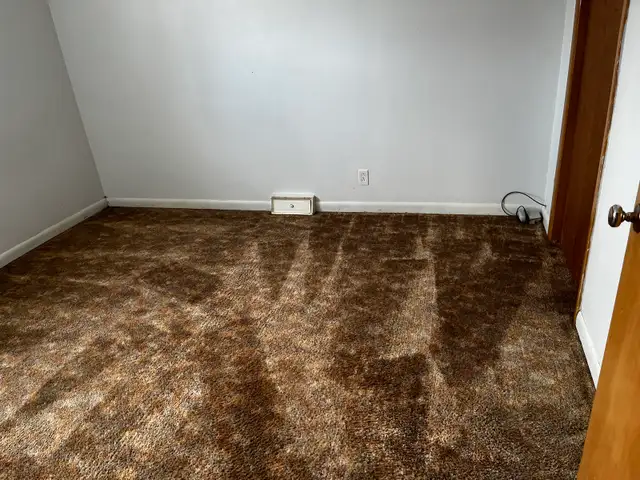 Home Cleaning & Yard Cleanup – Carman/Winkler/Morden• Garage, Ya - Photo 3
