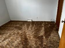 Home Cleaning & Yard Cleanup – Carman/Winkler/Morden• Garage, Ya - Photo 3