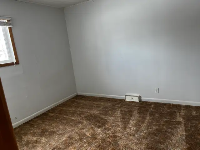 Home Cleaning & Yard Cleanup – Carman/Winkler/Morden• Garage, Ya - Photo 4