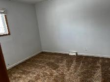 Home Cleaning & Yard Cleanup – Carman/Winkler/Morden• Garage, Ya - Photo 4