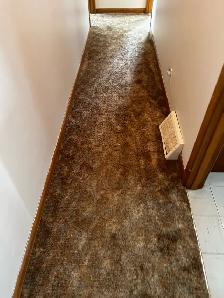 Home Cleaning & Yard Cleanup – Carman/Winkler/Morden• Garage, Ya - Photo 5