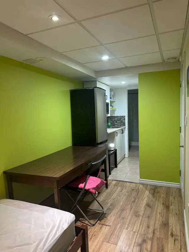 Bsmt Studio Suite for Rent . Furnished with mini kitchen & Bath - Photo 6