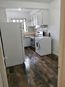 Big 4 1/2 apartment for rent Cote Des Ledges - Photo 2