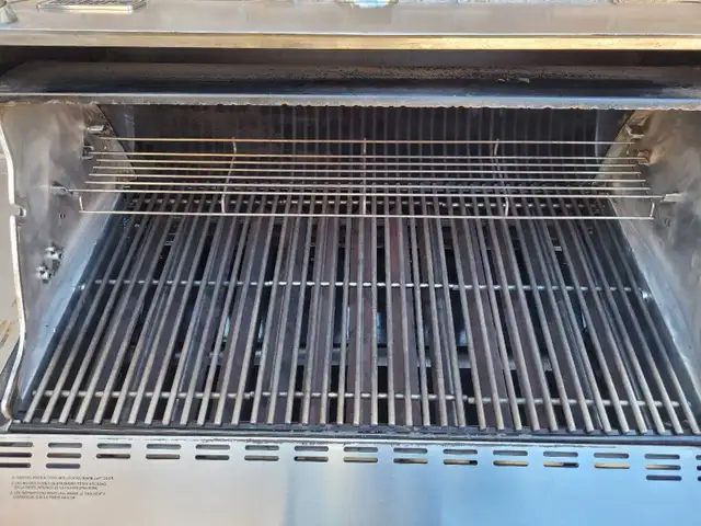 Professional Bbq Cleaner - Photo 4