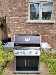 Professional Bbq Cleaner - Photo 5