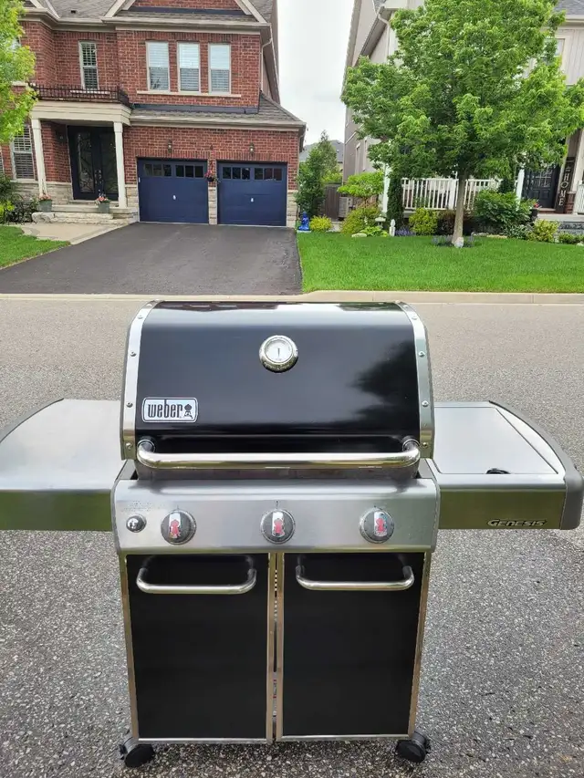 Professional Bbq Cleaner - Photo 6