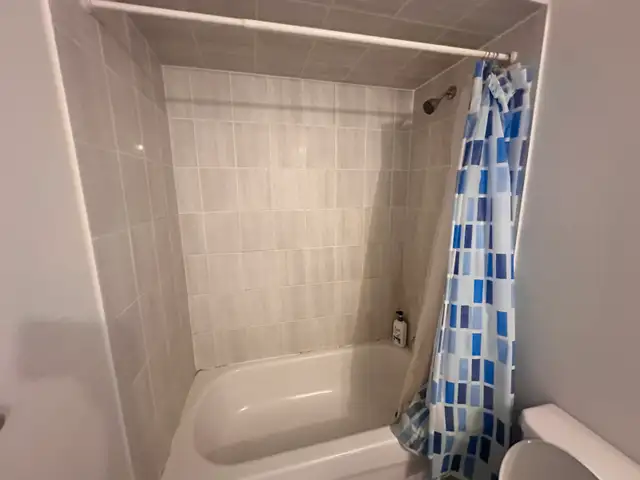 Large Room for rent (Barrie - Mapleview & Essa) - Photo 5