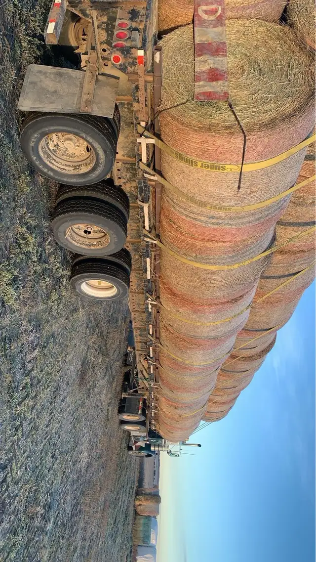 looking for labour jobs in red deer