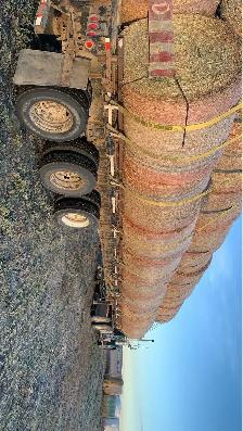 looking for labour jobs in red deer