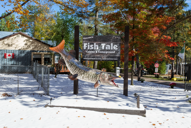 Your Choice – Your Dream!