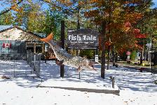 Your Choice – Your Dream!