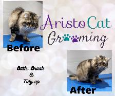 AristoCat Grooming - Orleans - Photo 4