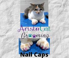 AristoCat Grooming - Orleans - Photo 5
