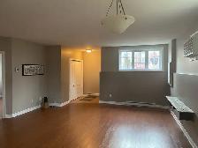 Spacious, modern, half basement 2 bdr Aylmer