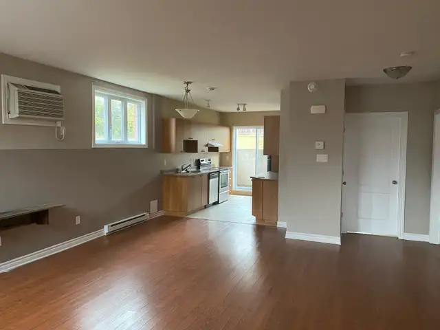 Spacious, modern, half basement 2 bdr Aylmer - Photo 3