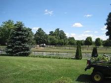 Wanted : Seasonal Landscaping Assistant - Photo 2