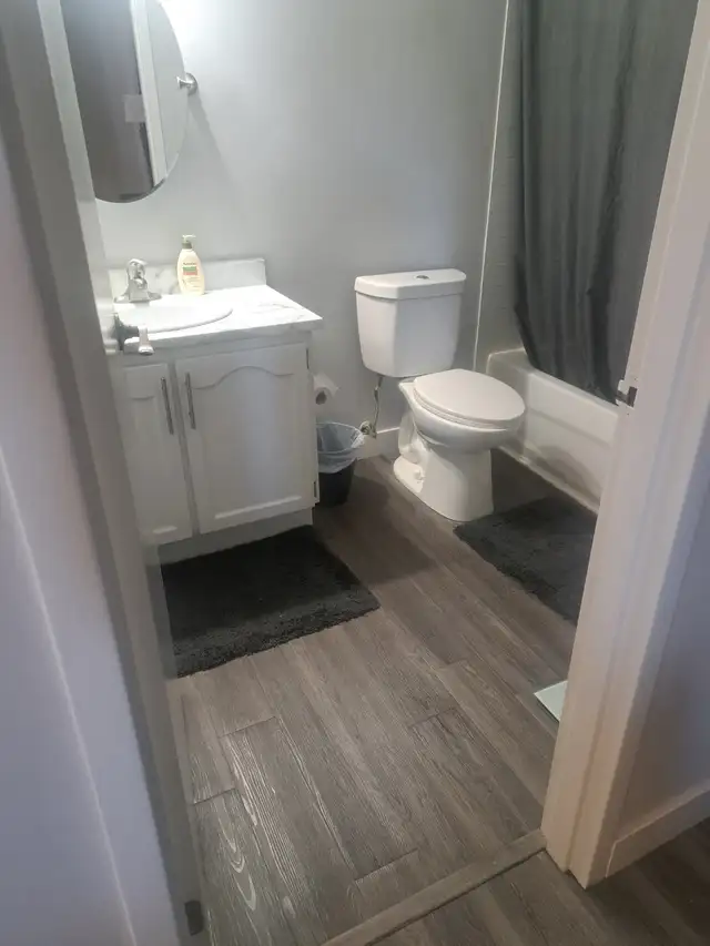 Lease Takeover · Apt 307, 79 Radcliff Dr - Photo 5