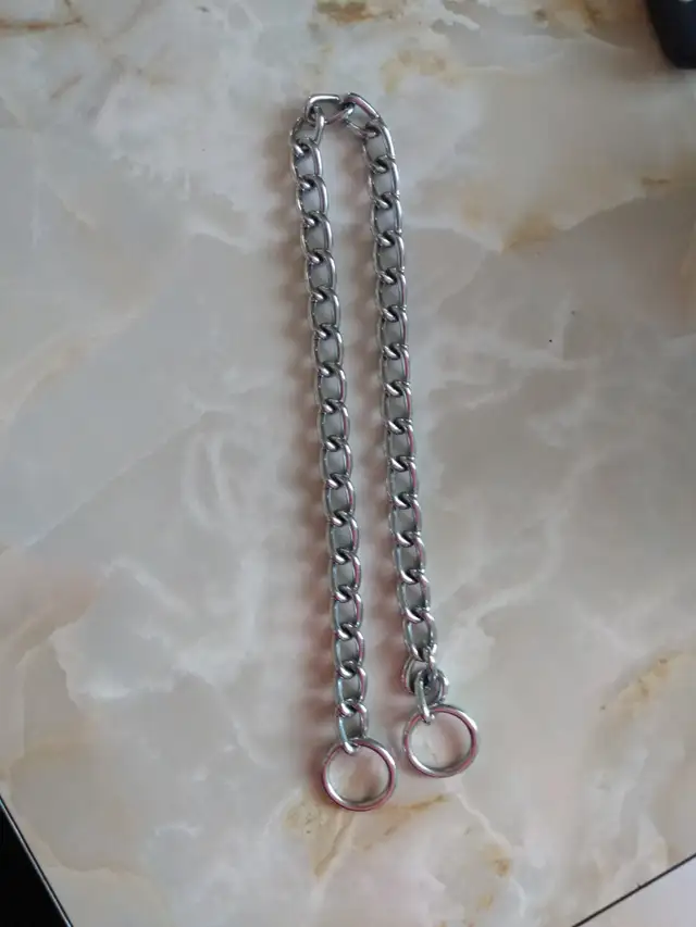 Stainless steel 24 in dog collar for training