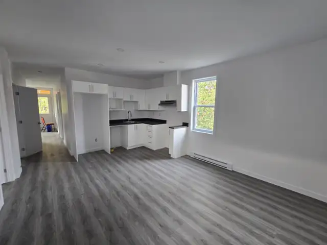 5 1/2 appartement à louer au Plateau Montreal
