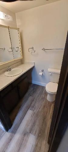 1 BEDROOM APARTMENT - PET FRIENDLY - Photo 6