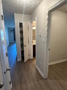 1 Bed 1 Bath Apartment with balcony - Photo 5