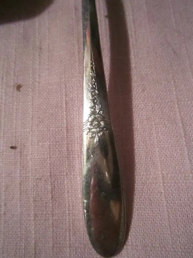 #13-51D  FANTASY silverware set for 8