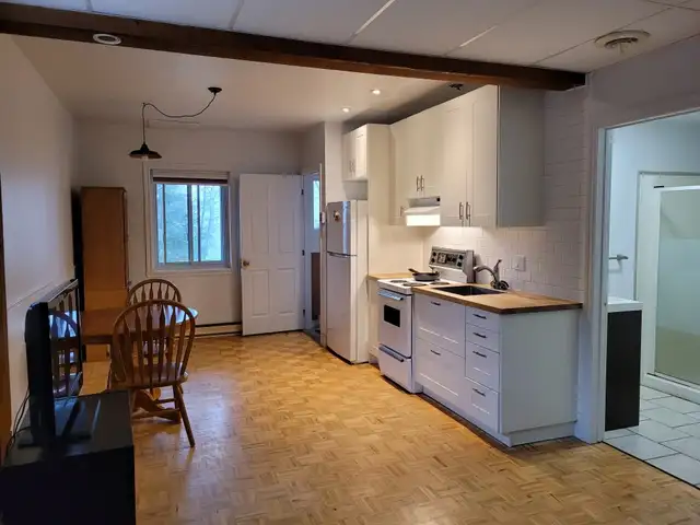 Studio Apartment for Rent - Photo 10